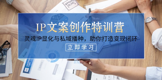 (14330期)IP文案创作特训营,灵魂IP显化与私域播种,助你打造变现闭环(14节课)-14号网创