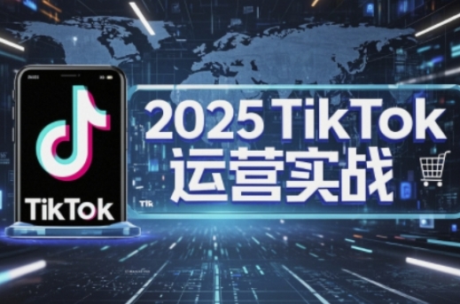 2025TikTok电商运营,掌握TikTok店铺运营核心技巧,实现低成本高转化-14号网创