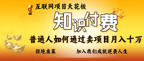 互联网项目天花板,知付付费项目,普通人如何通过卖项目月入十个,拒绝韭菜【揭秘】-14号网创