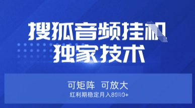 【搜狐音频挂G】独家技术,可矩阵可放大,红利期稳定月入8k【揭秘】-14号网创