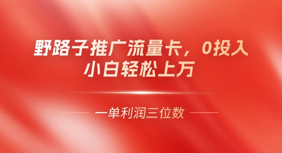 0门槛推广流量卡，一单收益上百，0投入，小白月入过W-14号网创