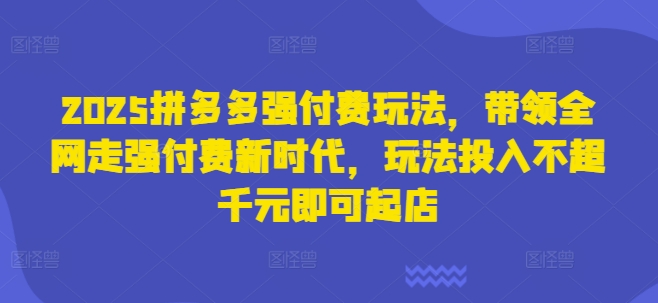 2025拼多多强付费玩法,带领全网走强付费新时代,玩法投入不超千元即可起店-14号网创