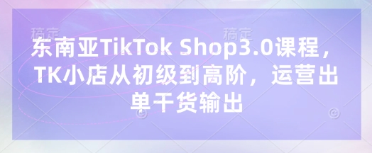 东南亚TikTok Shop3.0课程，TK小店​从初级到高阶，运营出单干货输出-14号网创
