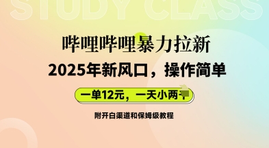 哔哩哔哩暴力拉新:2025年新风口,一单12元,一天数张(附开白渠道和保姆级教程)-14号网创